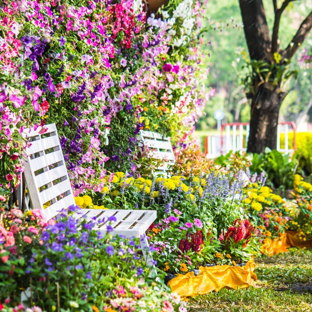 Perfect Plant Pairings for Mid-Spring: Brighten Your April Garden