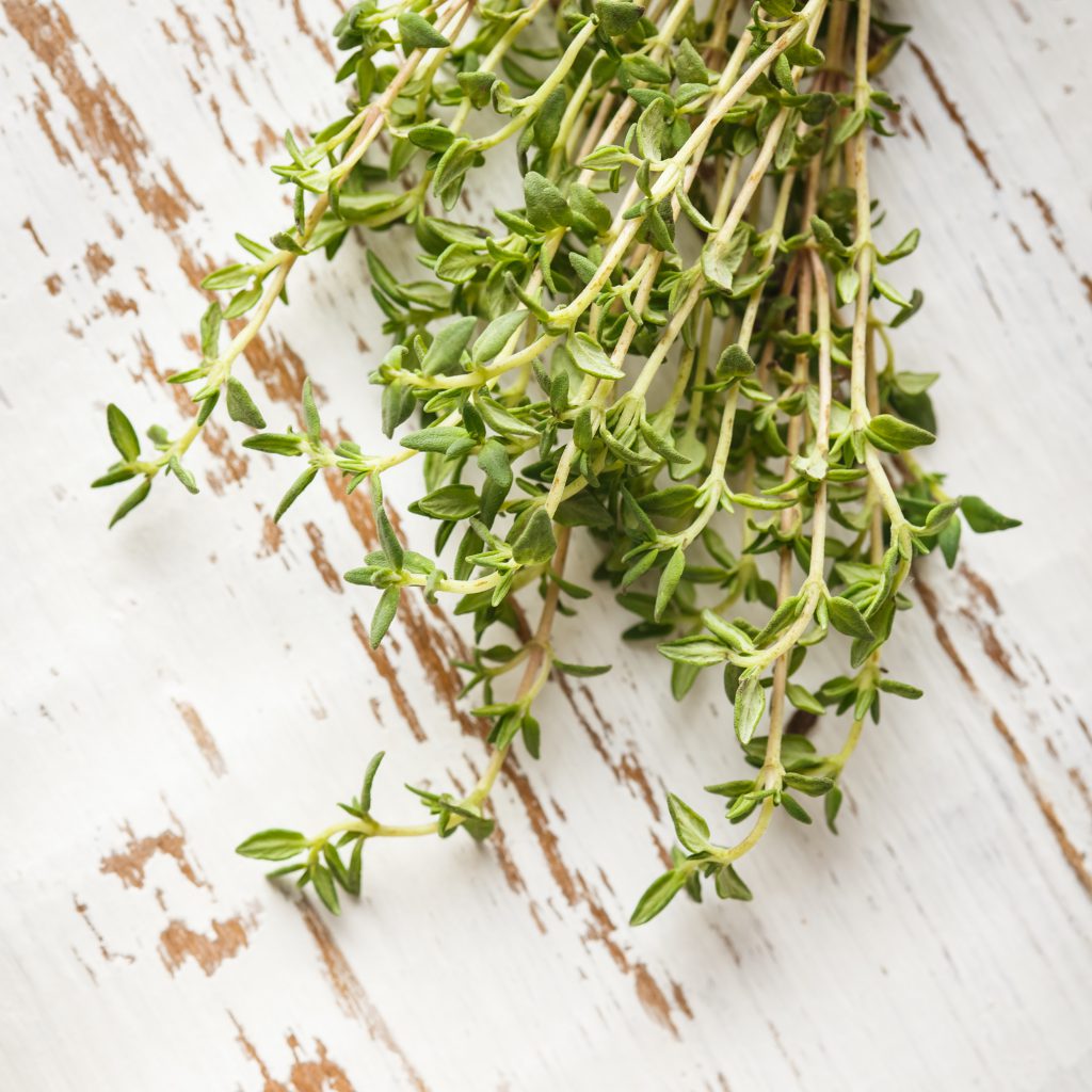 Simple and Easy Herb Growing – Thyme