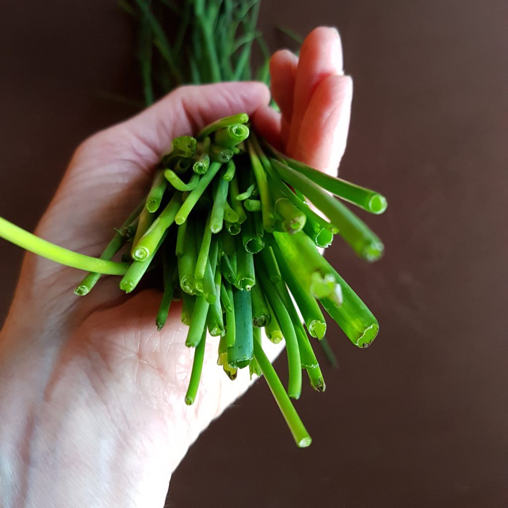 Simple and Easy Herb Growing – Chives