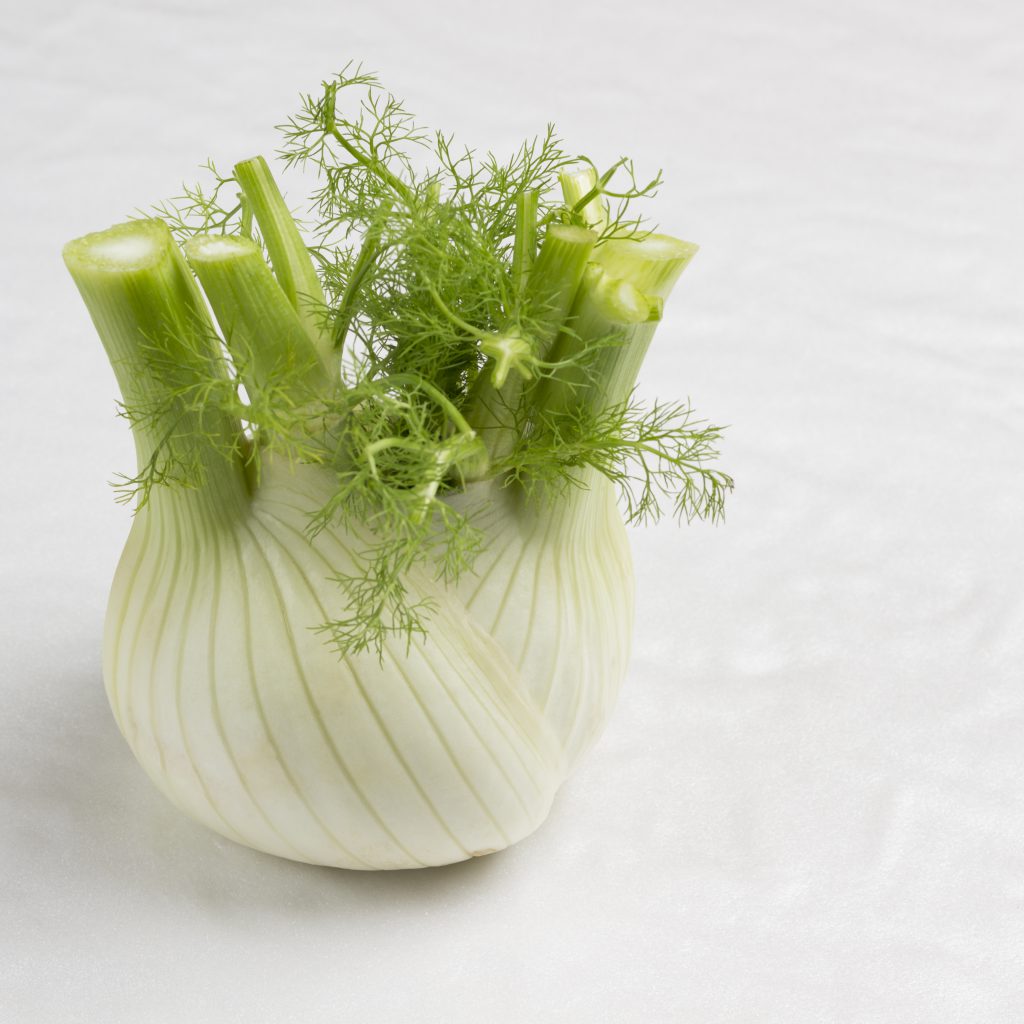 Simple and Easy Herb Growing – Fennel