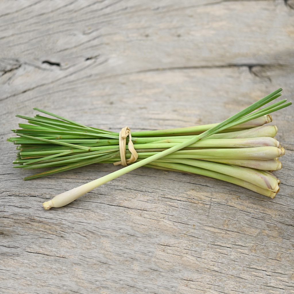 Simple and Easy Herb Growing – Lemongrass