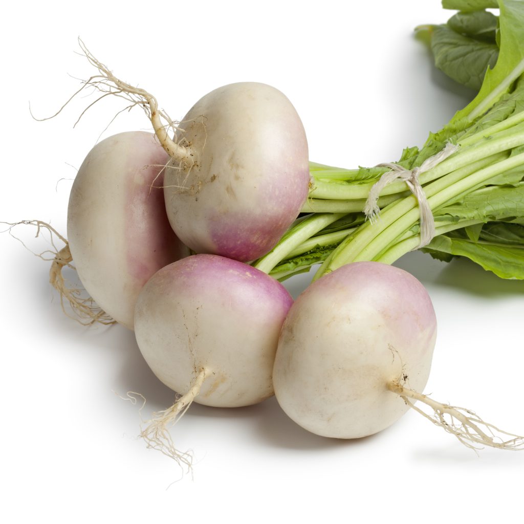 Turnips: A Comprehensive Guide to Growing and Harvesting