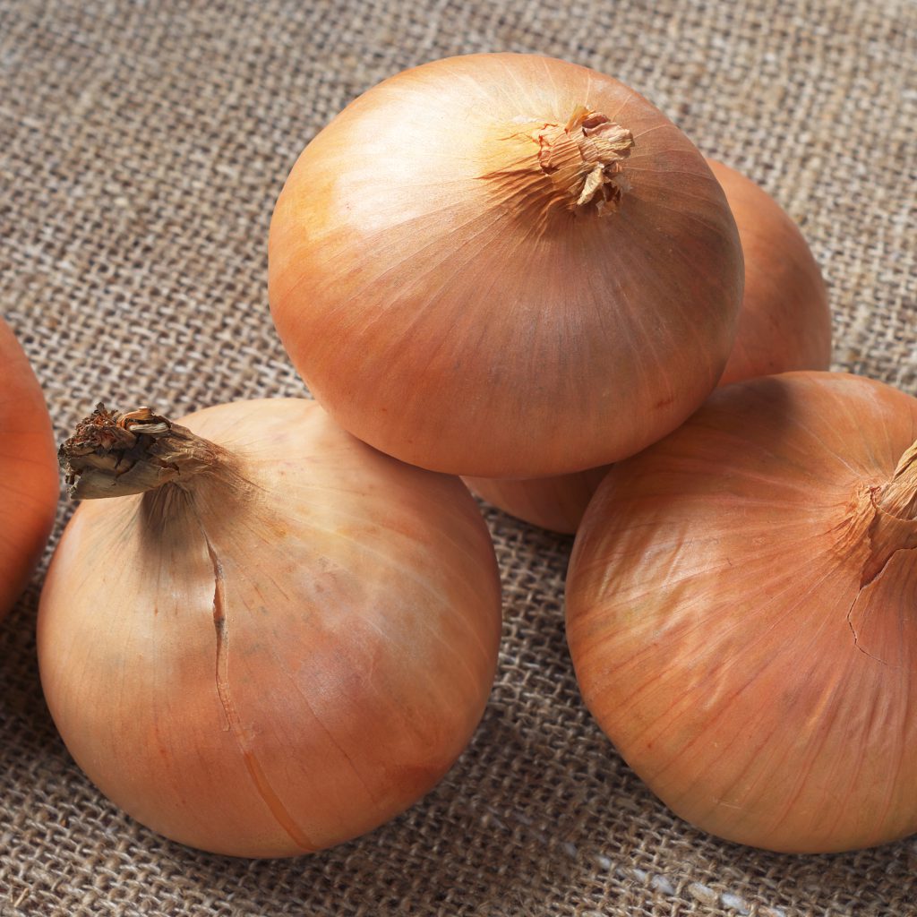 Onions: A Comprehensive Guide to Growing and Harvesting