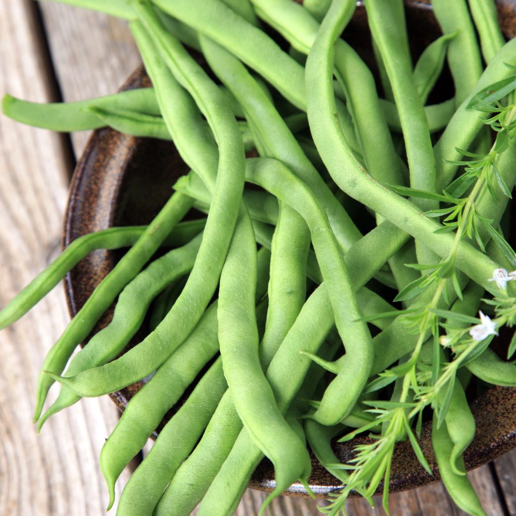 Runner Beans: A Comprehensive Guide to Growing and Harvesting