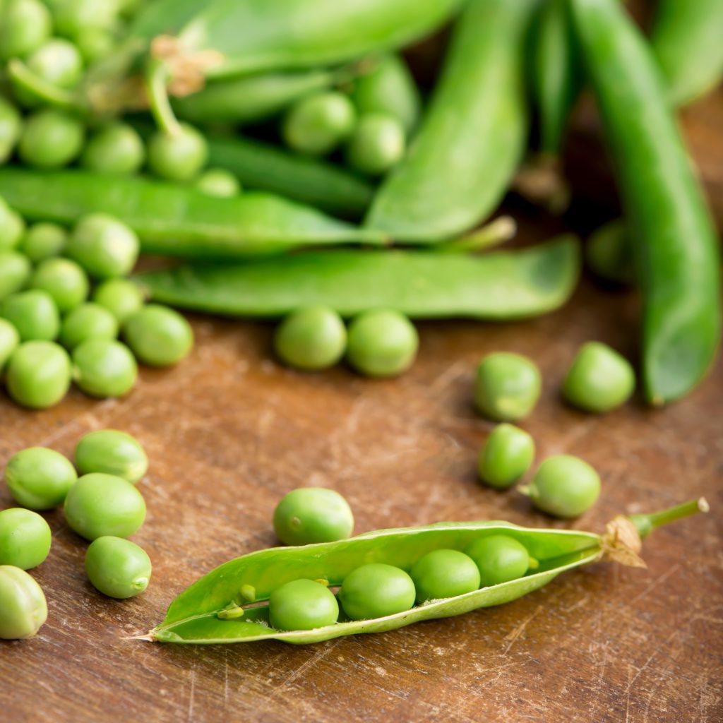 Peas: A Comprehensive Guide to Growing and Harvesting