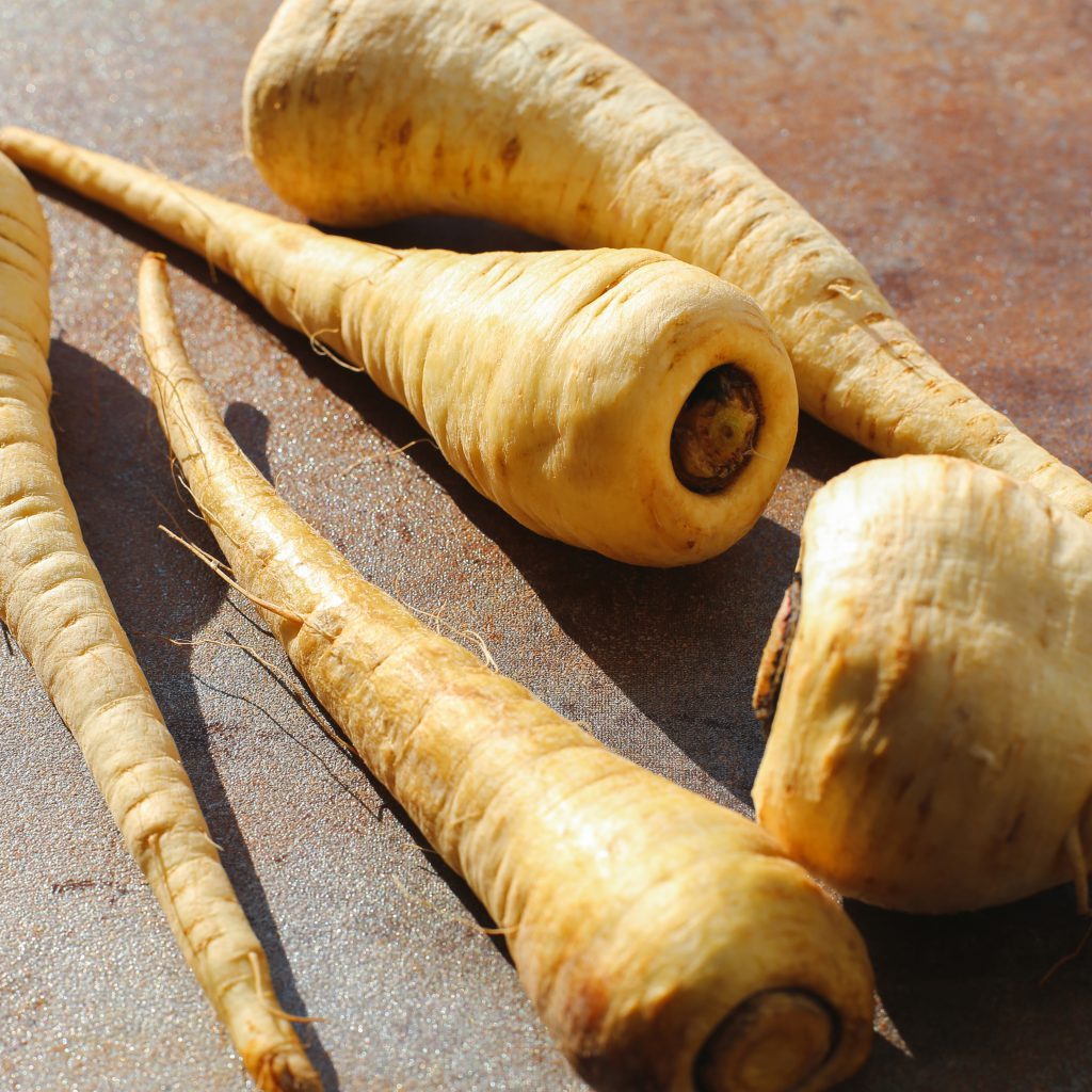 Parsnips: A Comprehensive Guide to Growing and Harvesting