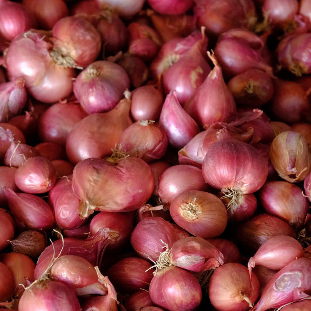 Shallots: A Comprehensive Guide to Growing and Harvesting