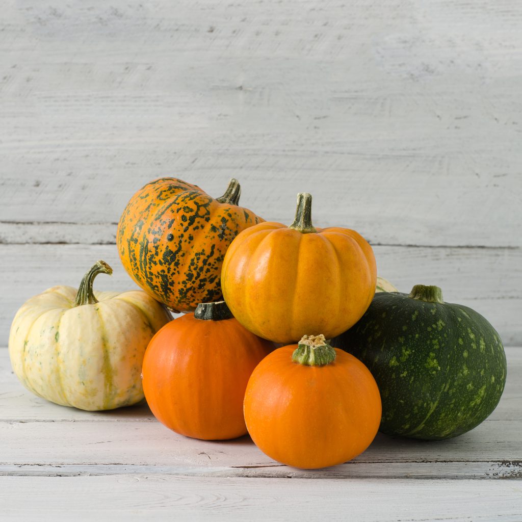 Pumpkins: A Comprehensive Guide to Growing and Harvesting